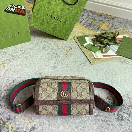 Gucci Ophidia GG Mini Bag