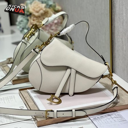 Dior Saddle Bag