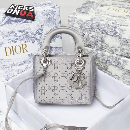 Dior Lady