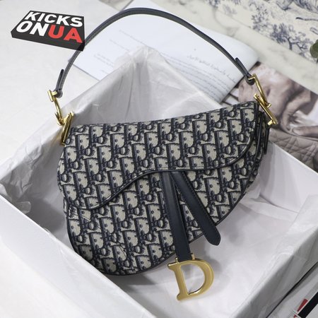 Dior Saddle M3351