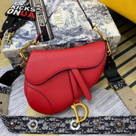 Dior Saddle 8587